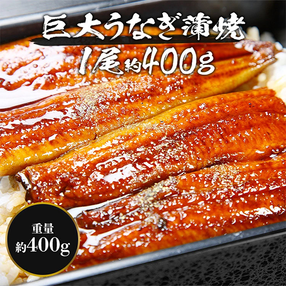 巨大うなぎ蒲焼！1尾約400g