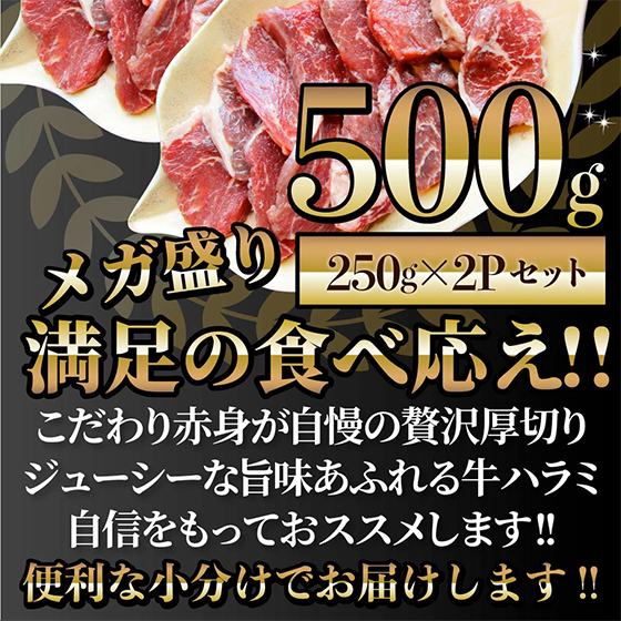 メガ盛り500kg 満足の食べ応え!!